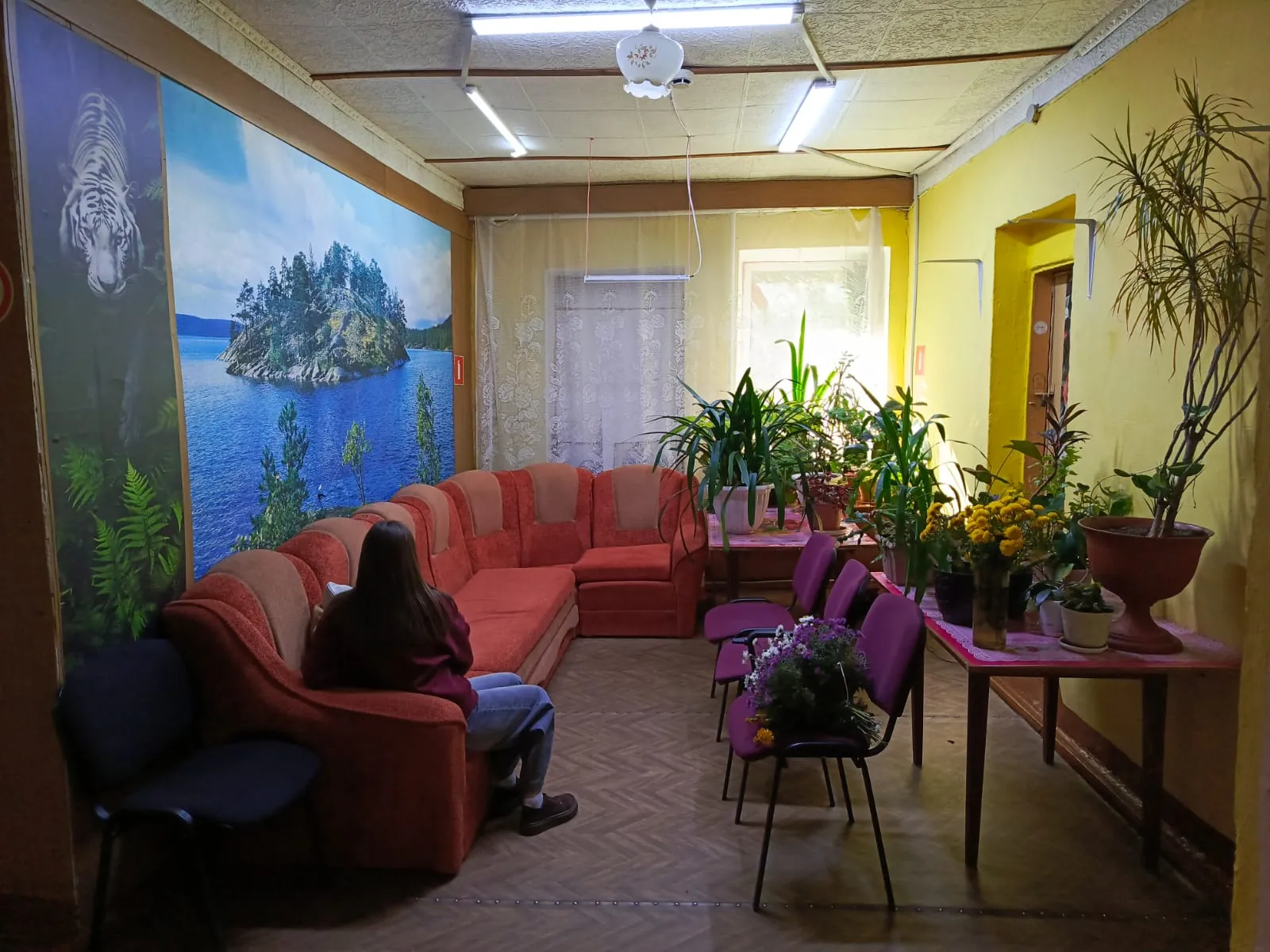 Холл с диваном, цветами и фотообоями с озером на стене